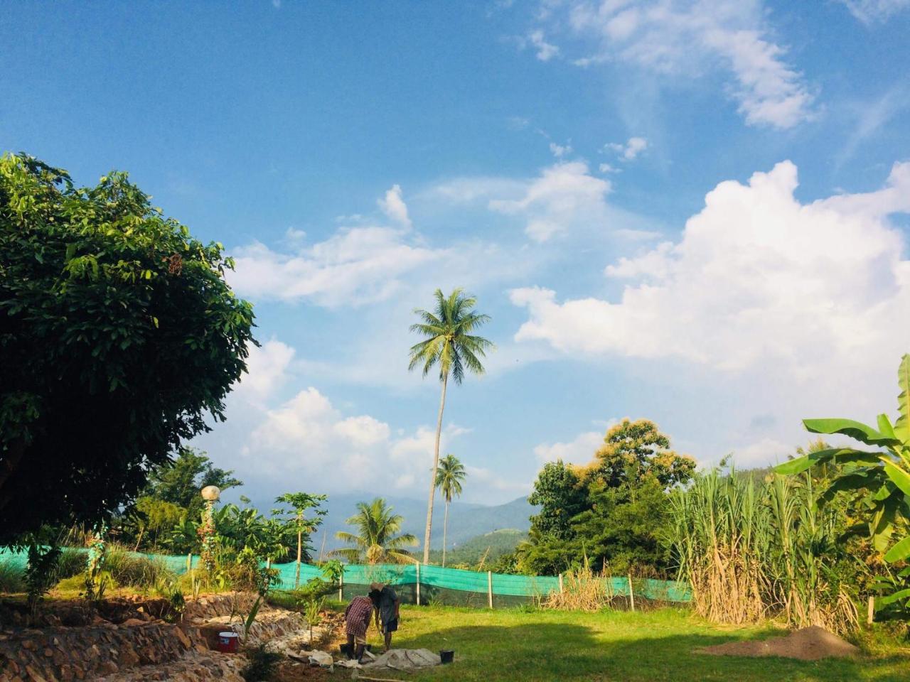 ホテル Phu Chaem House メーチェム エクステリア 写真