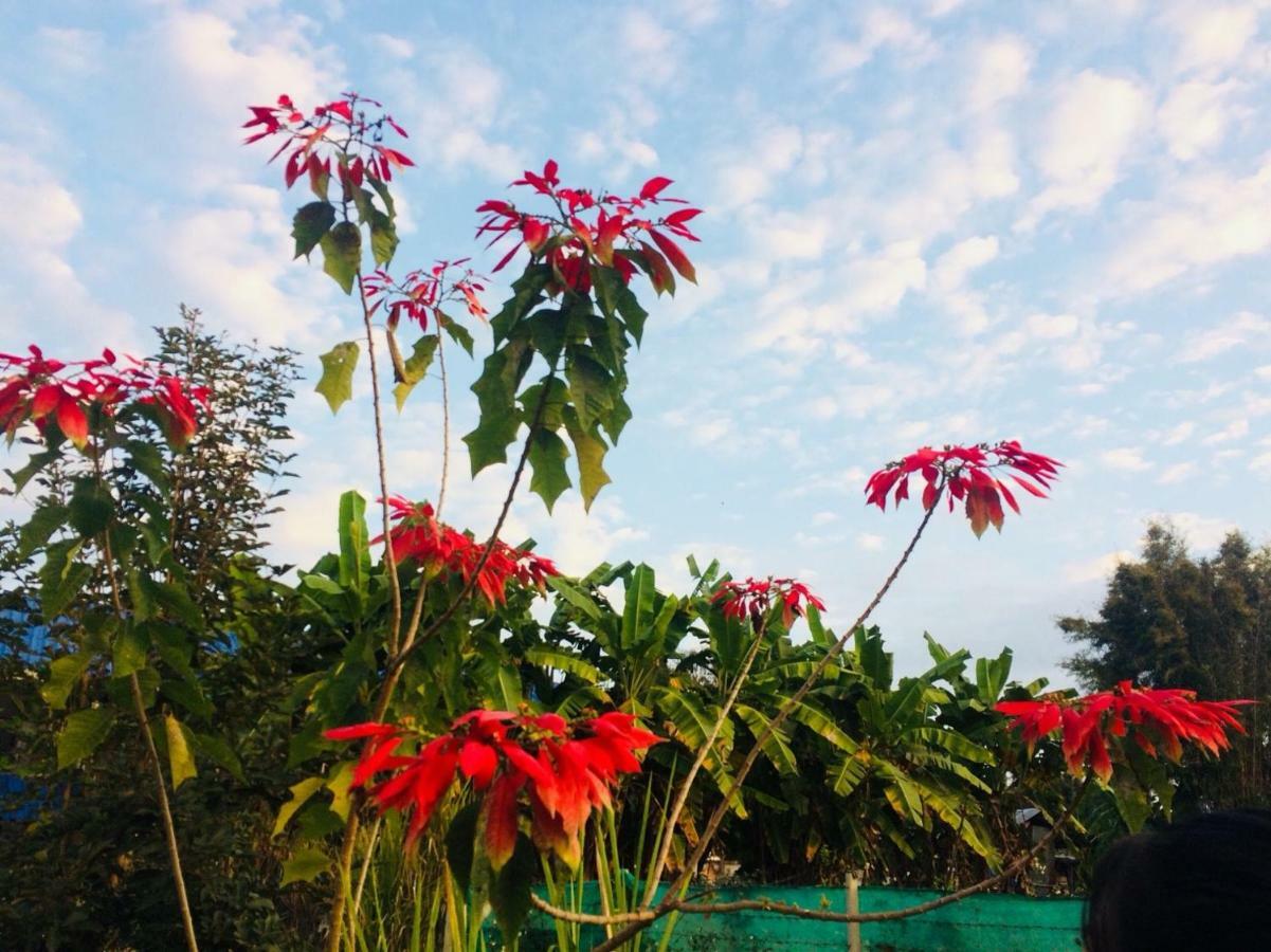 ホテル Phu Chaem House メーチェム エクステリア 写真